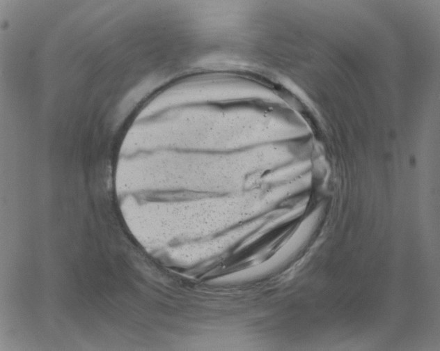 X0000066101461200604071810