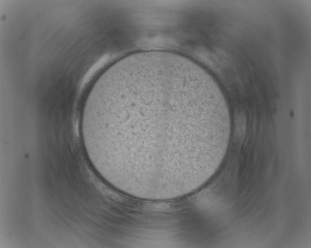 X0000066101462200604071810