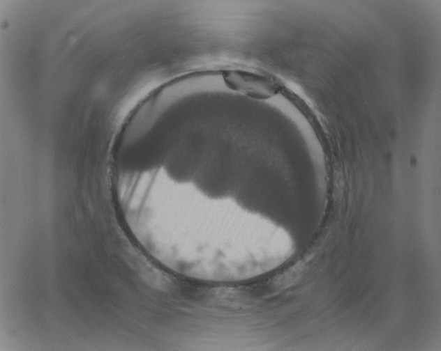 X0000066101463200604071810