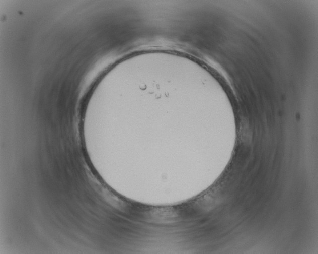 X0000066101464200604071810