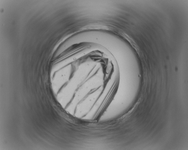 X0000066101465200604071810