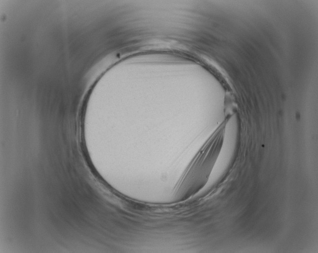 X0000066101467200604071810