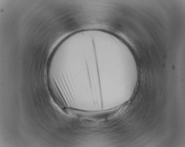 X0000066101468200604071810