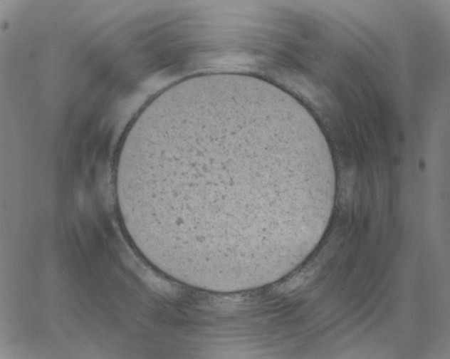 X0000066101470200604071810