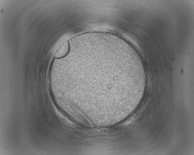 X0000066101471200604071810