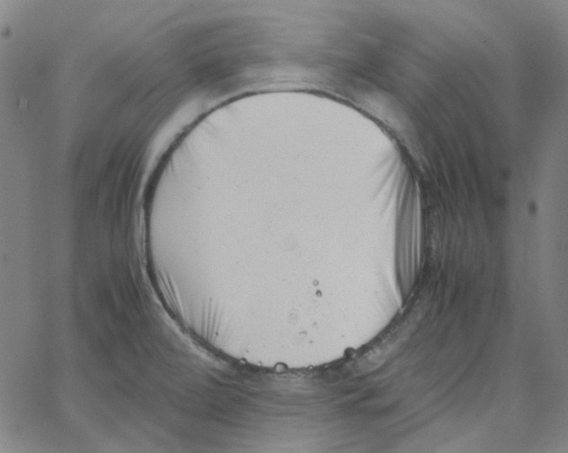 X0000066101472200604071810