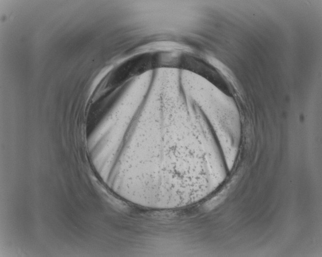 X0000066101473200604071810