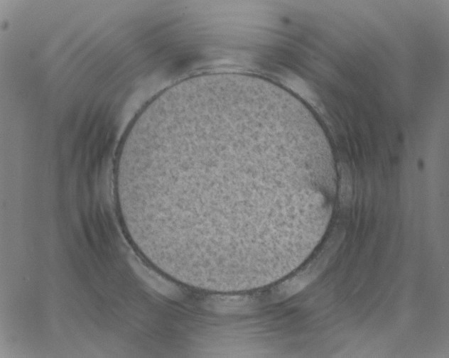 X0000066101474200604071810