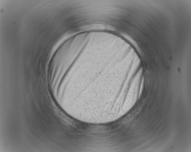 X0000066101475200604071810