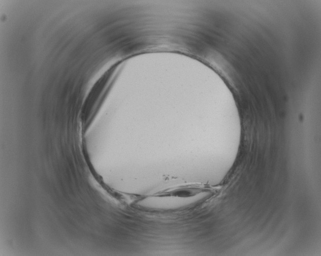 X0000066101476200604071810