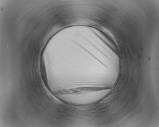 X0000066101480200604071810