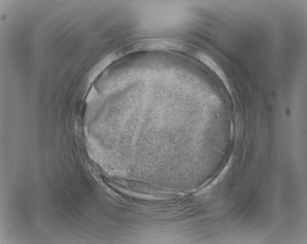 X0000066101481200604071810