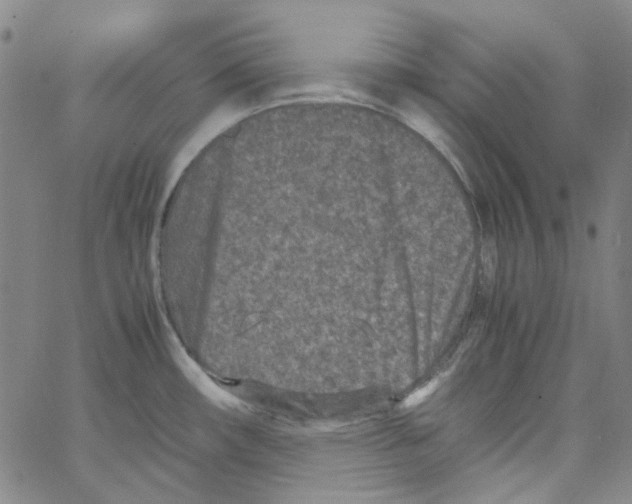 X0000066101482200604071810