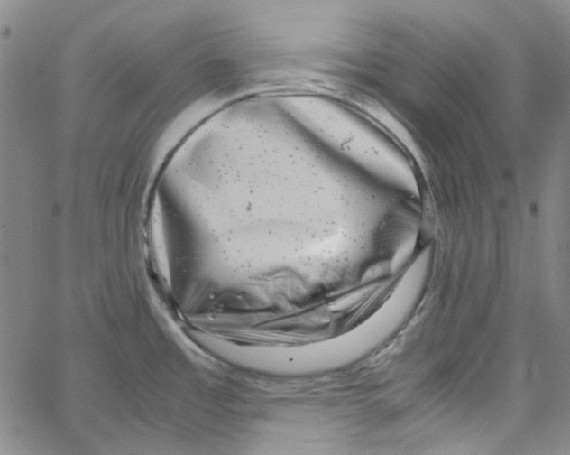 X0000066101485200604071810