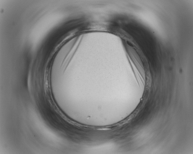 X0000066101487200604071810