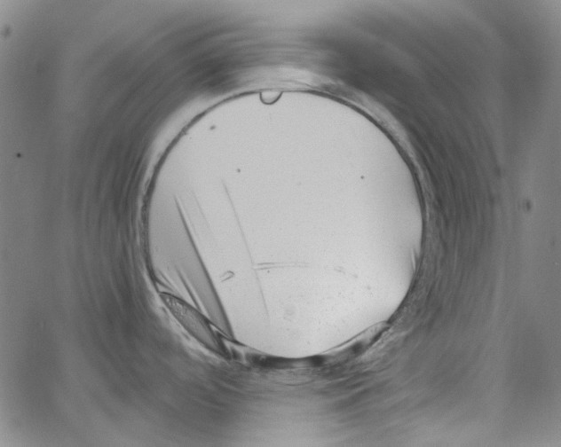 X0000066101488200604071810