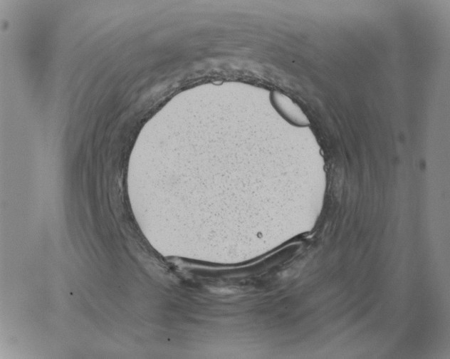 X0000066101489200604071809