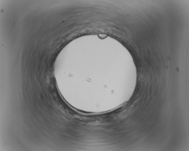 X0000066101490200604071809