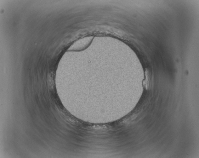 X0000066101491200604071809