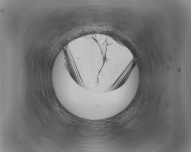 X0000066101492200604071809