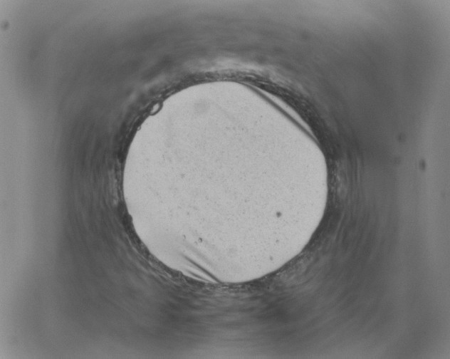 X0000066101493200604071809