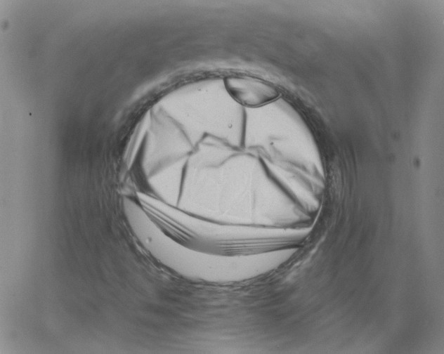 X0000066101494200604071809