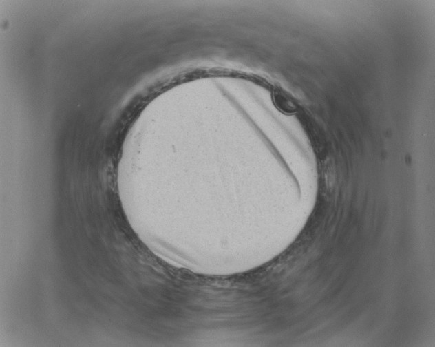 X0000066101495200604071809