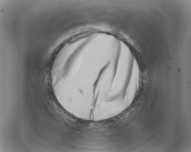 X0000066101496200604071809