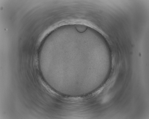 X0000066101498200604071809