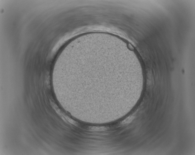 X0000066101499200604071809