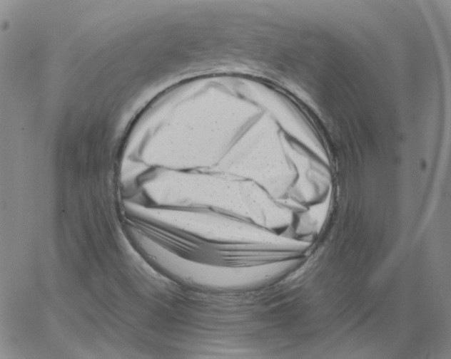 X0000066101500200604071809