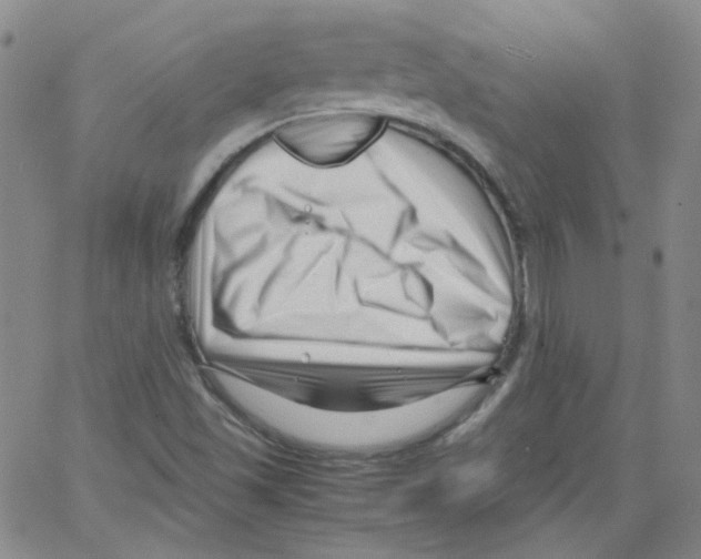 X0000066101501200604071809