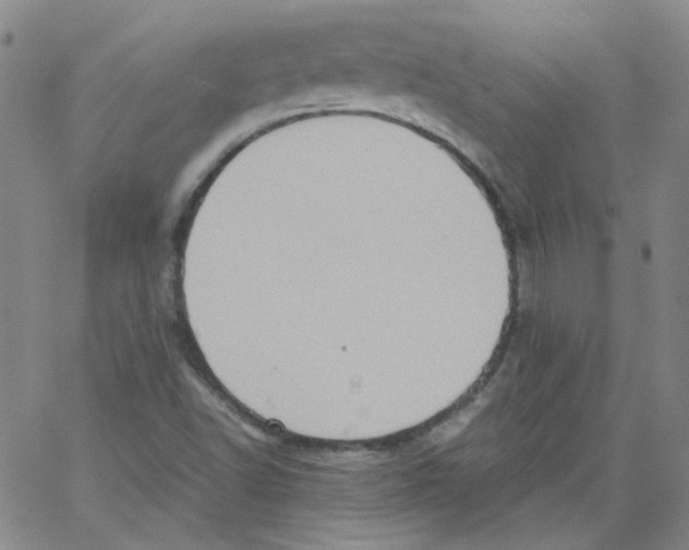 X0000066101502200604071809