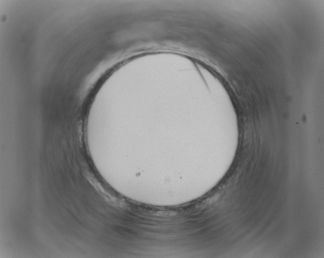 X0000066101503200604071809