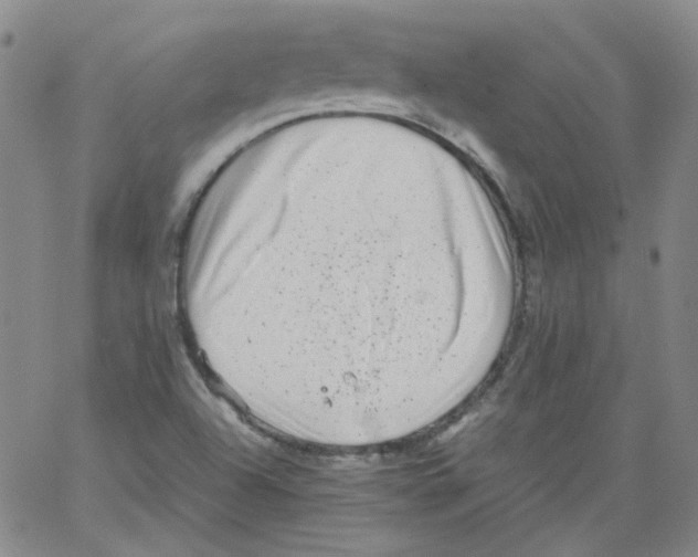 X0000066101504200604071809