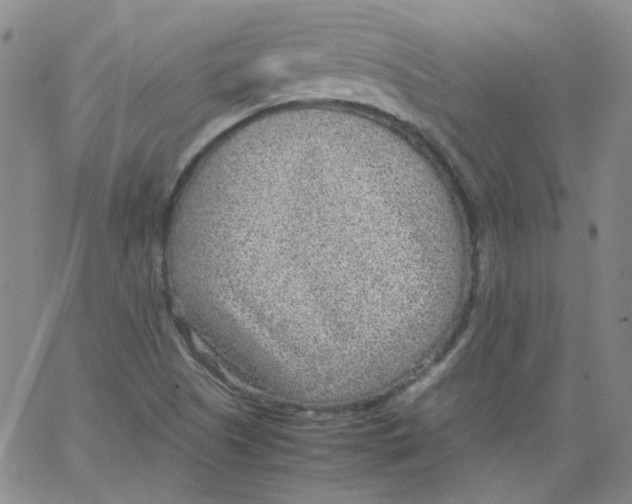 X0000066101505200604071809