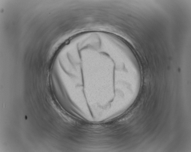 X0000066101507200604071809