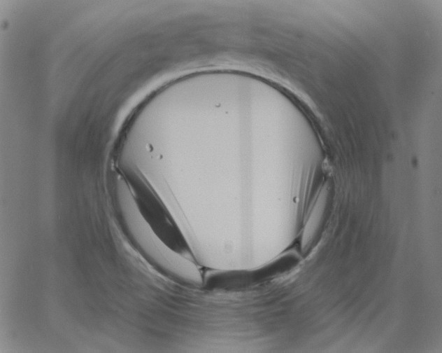 X0000066101510200604071809