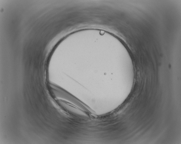 X0000066101511200604071809