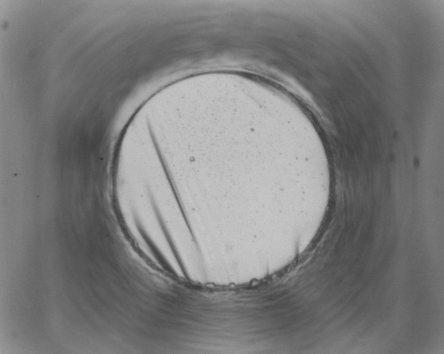 X0000066101512200604071809