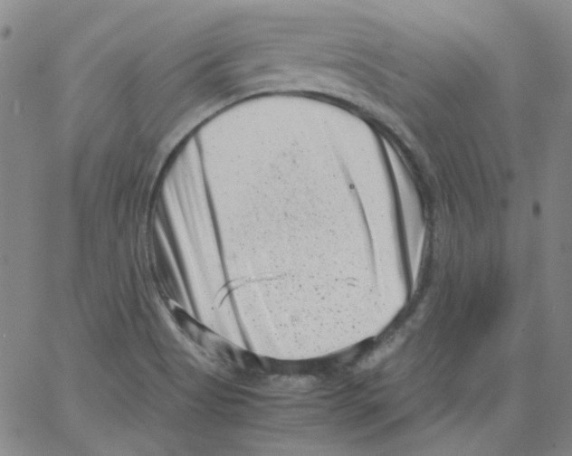 X0000066101513200604071809