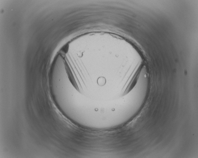 X0000066101514200604071809