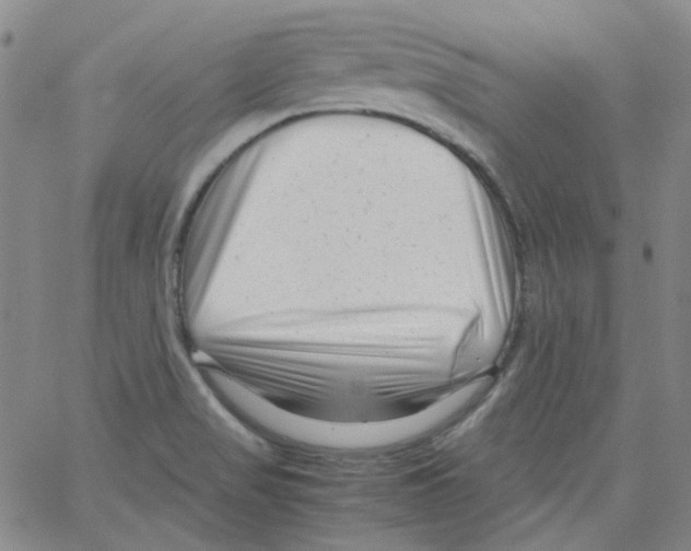 X0000066101517200604071809