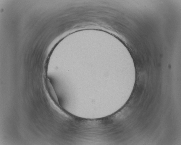 X0000066101518200604071809