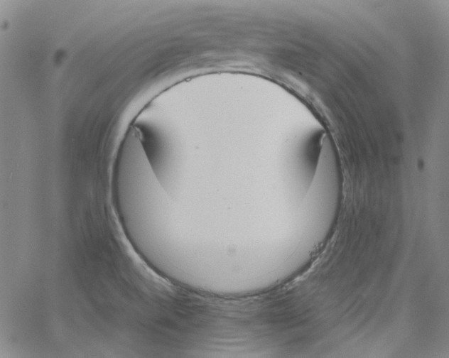 X0000066101520200604071809