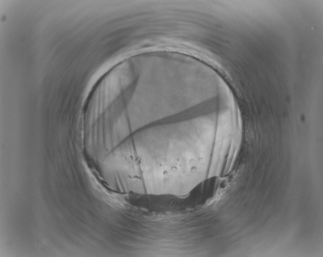 X0000066101522200604071809