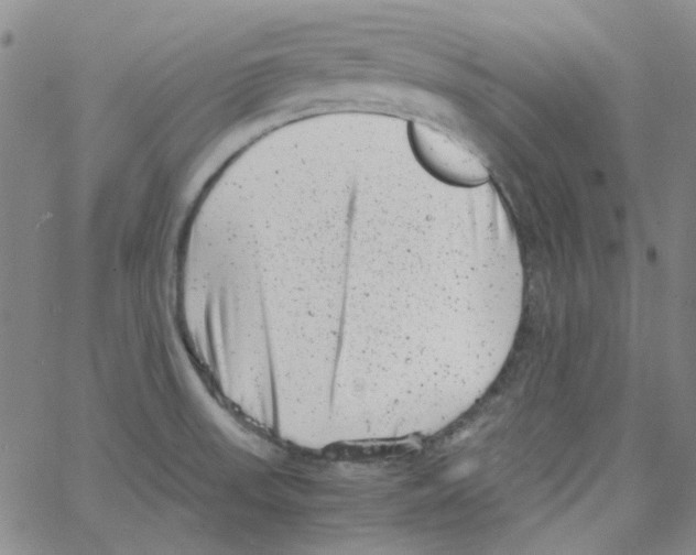 X0000066101523200604071809