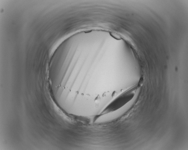 X0000066101524200604071809