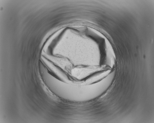 X0000066101530200604071809