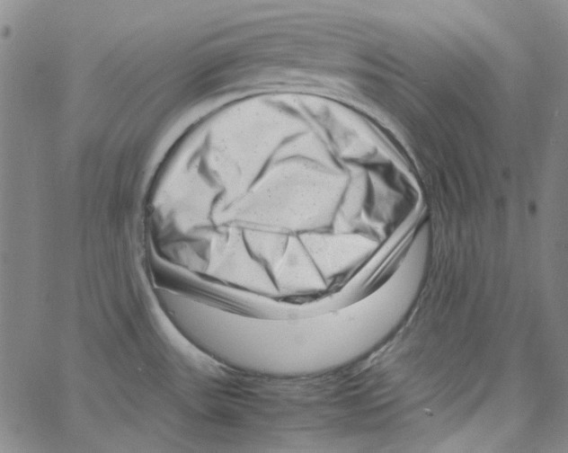 X0000066101531200604071810